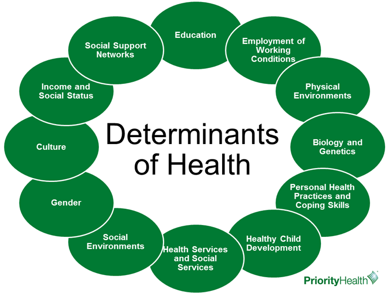 determinants of health circle