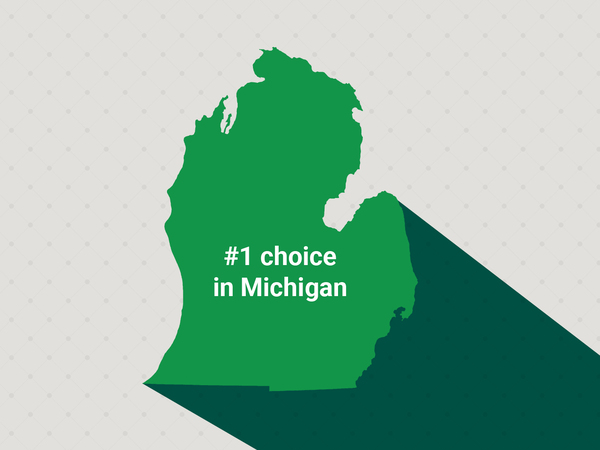 Graphic of Michigan