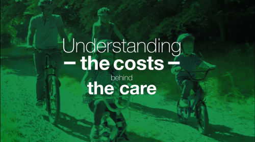 understanding costs video green 500