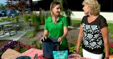 cooking summer meals