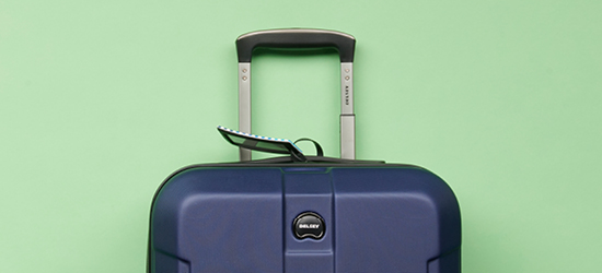 blue suitcase against a green background