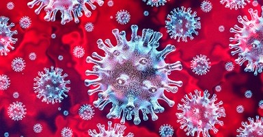 Coronavirus cells