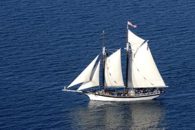 Tall ships cruise